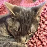 Mike Boatner - @mike.boatner - Instagram