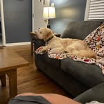 Mike Boehm - @mikeyb633 - Instagram