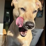 Mike Bollen - @mike.bollen - Instagram