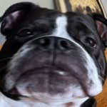 @mike_.bones - Instagram