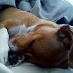 Mike Bonomo - @mikebonomo - Instagram