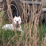 Mike Bonde - @mike.bonde.98 - Instagram