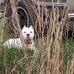Mike Bonde - Facebook
