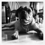 Mike Bonham - @bonhamzup - Instagram