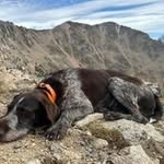 Mike Boren - @steerhide2x - Instagram