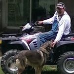 Mike Borman - @bormanmike - Instagram