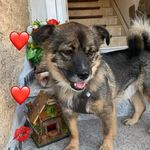 Mike Bormann - @mike_bormannth - Instagram