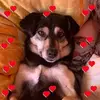 Timotess - @mikebormann6 - TikTok