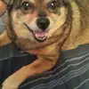 Mike Borrell - @mike.borrell - TikTok