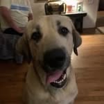 Mike Bostic - @mikebostic601 - Instagram