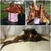 Stump candle holders by Mike Bourque - Facebook