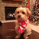 Mike Bowe - @bowemike - Instagram
