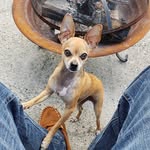 Mike Bowe - @mboweflgmailcom - Instagram