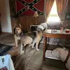 Mike Bowermaster - @mike.bowermaster - TikTok