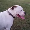 Mike Bowen - @mike.bowen2 - TikTok