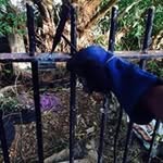 Mike Box - @bikemox - Instagram