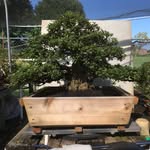 MikeBox - @_mikebox - Instagram