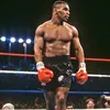mike.tyson - @mike.tyson.box - TikTok