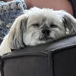 Mike Boyce - @mikeyboyce0420 - Instagram