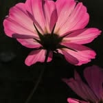 Mike Boyes - @mikeboyesphotography - Instagram