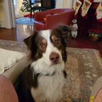 Mike Bozzone - @bozzone.mike - Instagram