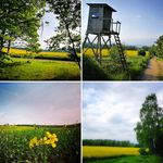 Mike Brenner - @bbrennerr - Instagram