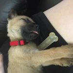 Mike Brill - @aunuke - Instagram