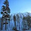 Mike Brito - @mike.brito3 - TikTok