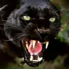 Mike Broadnax - @mike.broadnax - TikTok