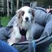 Michael Brochu - Facebook