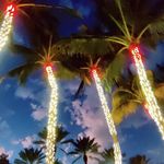 Mike Brochu - @mbbrochu - Instagram