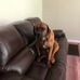 Mike Brode - Facebook