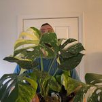 Mike Brooke - @itsjustmikesplants - Instagram