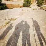 Mike Bross - @brossmike - Instagram