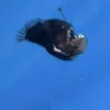 Mike.82.brouwer - @mike.82.brouwer - TikTok