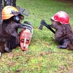 Mike de Brouwer - @brouwer.mike - Instagram