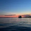mike.brouwer1 - @mike.brouwer1 - TikTok