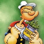 MikeBrouwer - @mike_brouwer_ - Instagram