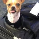 Mike Brownell - @mike.brownell.184 - Instagram