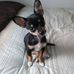 Mike Brumback - Facebook