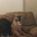 Mike Brunk - Facebook