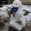 Mike Bruns779 - @mikebruns779 - TikTok