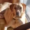 mikebruns01 - @mikebruns01 - TikTok