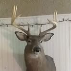 Mike Brust - Facebook
