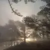 mikebrust82 - @mikebrust82 - TikTok