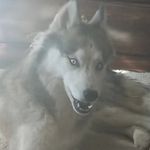 Mike Buffington - @forbiddenforce - Instagram