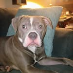 Michael Bungert - @mike.bungert1 - Instagram