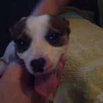 @mikebunge1973 - Instagram