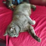 Mike Burdick - @burdick510 - Instagram