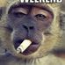 Mike Burdick - Facebook